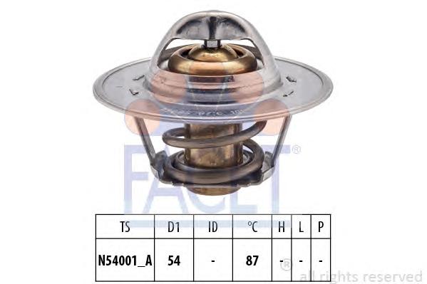Термостат, охлаждающая жидкость FACET