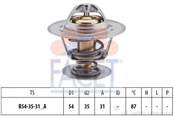 Термостат, охлаждающая жидкость FACET