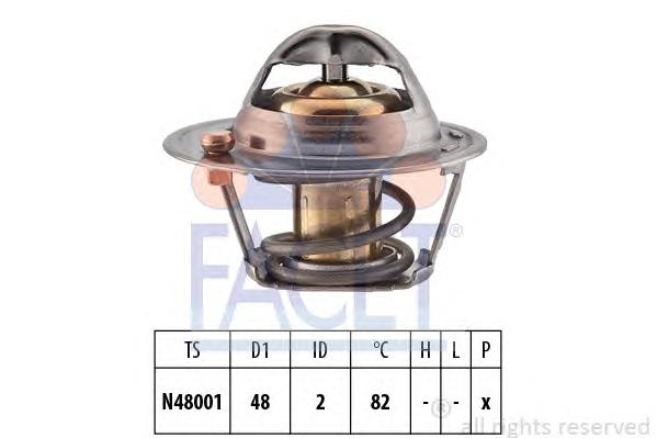 Термостат, охлаждающая жидкость FACET