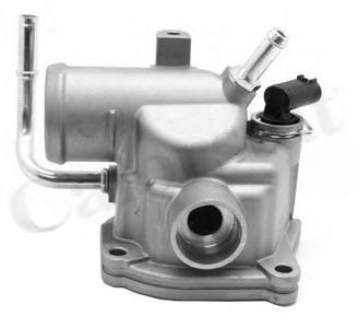 Термостат, охлаждающая жидкость CALORSTAT by Vernet TH685087J