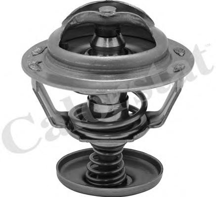 Термостат, охлаждающая жидкость CALORSTAT by Vernet