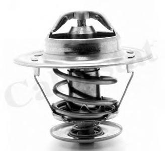 Термостат, охлаждающая жидкость CALORSTAT by Vernet TH152989J