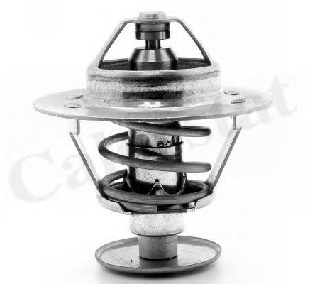 Термостат, охлаждающая жидкость CALORSTAT by Vernet