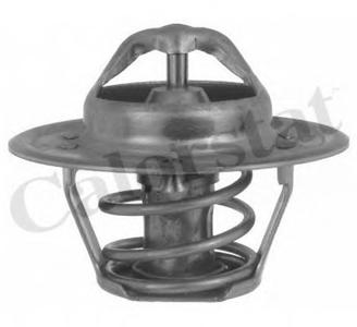 Термостат, охлаждающая жидкость CALORSTAT by Vernet TH550485J