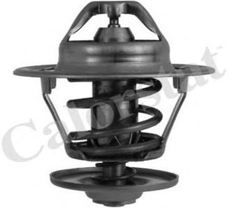 Термостат, охлаждающая жидкость CALORSTAT by Vernet TH624887J