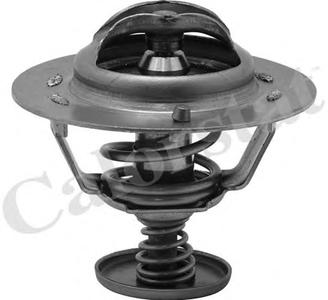 Термостат, охлаждающая жидкость CALORSTAT by Vernet TH658376J