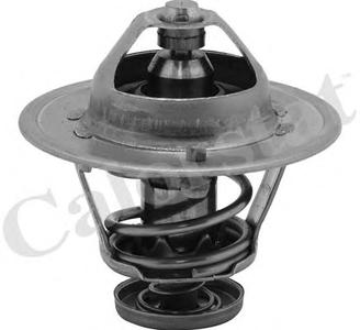 Термостат, охлаждающая жидкость CALORSTAT by Vernet TH625282J