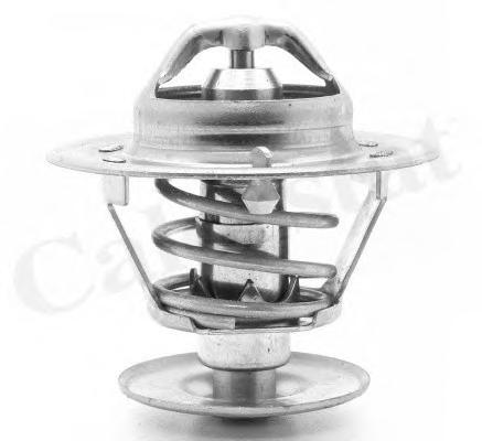 Термостат, охлаждающая жидкость CALORSTAT by Vernet