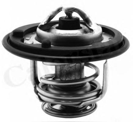 Термостат, охлаждающая жидкость CALORSTAT by Vernet