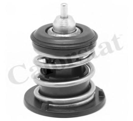 Термостат, охлаждающая жидкость CALORSTAT by Vernet