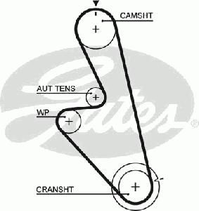 Ремень ГРМ GATES 5449