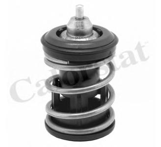 Термостат, охлаждающая жидкость CALORSTAT by Vernet TH7266105