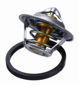 Термостат WAHLER