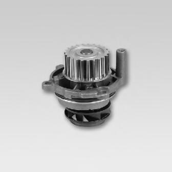 Водяной насос HEPU