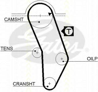 Ремень ГРМ TRISCAN
