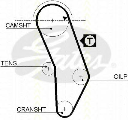 Ремень ГРМ TRISCAN