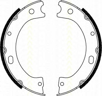 Комплект тормозных колодок, стояночная тормозная система TRISCAN