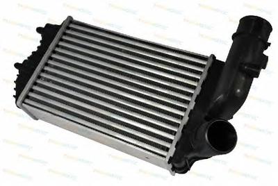 Интеркулер THERMOTEC DAF001TT