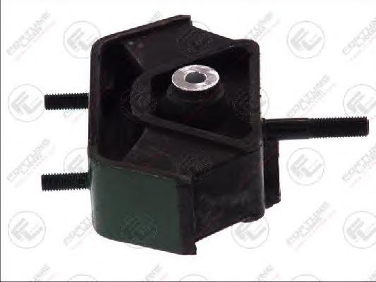 Подвеска, двигатель FORTUNE LINE