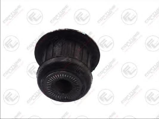 Подвеска, двигатель FORTUNE LINE