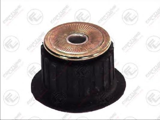 Подвеска, двигатель FORTUNE LINE