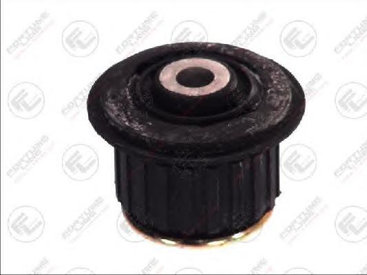 Подвеска, двигатель FORTUNE LINE