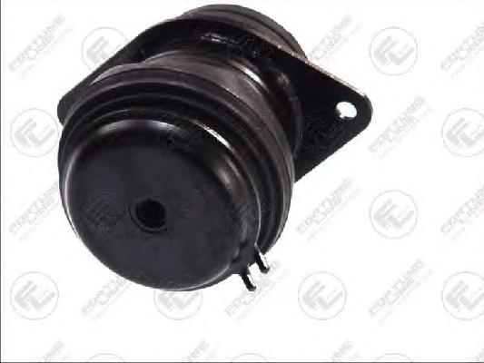 Подвеска, двигатель FORTUNE LINE