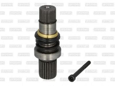 Шарнир, приводной вал PASCAL G8W001PC