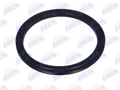 Уплотняющее кольцо вала, подшипник ступицы колеса BTA B06-2000
