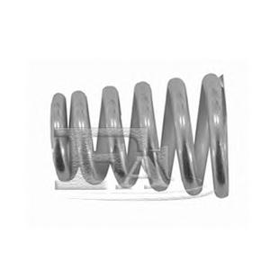 Пружина, глушитель FA1 125905