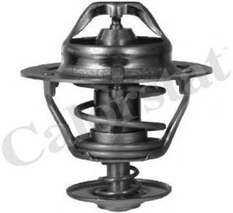 Термостат, охлаждающая жидкость CALORSTAT by Vernet TH631282J