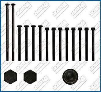 Комплект болтов головки цилидра AJUSA 81019600