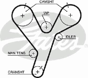 Ремень ГРМ GATES 5446XS