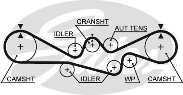 Ремень ГРМ GATES