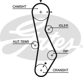 Ремень ГРМ GATES 5579XS