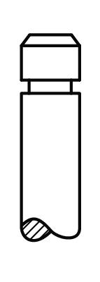 Впускной клапан AE