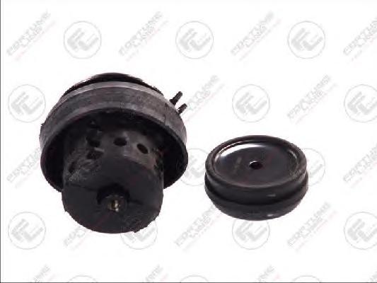 Подвеска, двигатель FORTUNE LINE