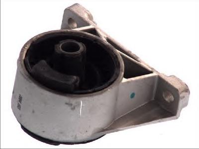 Подвеска, двигатель FORTUNE LINE