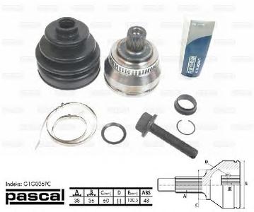 ШРУС PASCAL G1G036PC