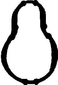 Прокладка, крышка головки цилиндра REINZ