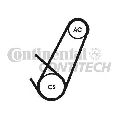 Поликлиновой ременный комплект CONTITECH