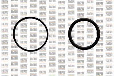 Водяной насос HEPU