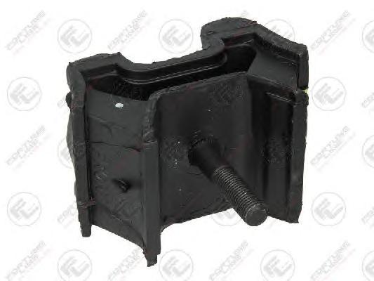 Подвеска, двигатель FORTUNE LINE