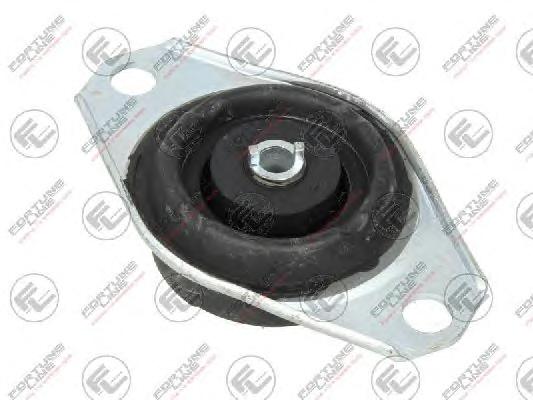 Подвеска, двигатель FORTUNE LINE