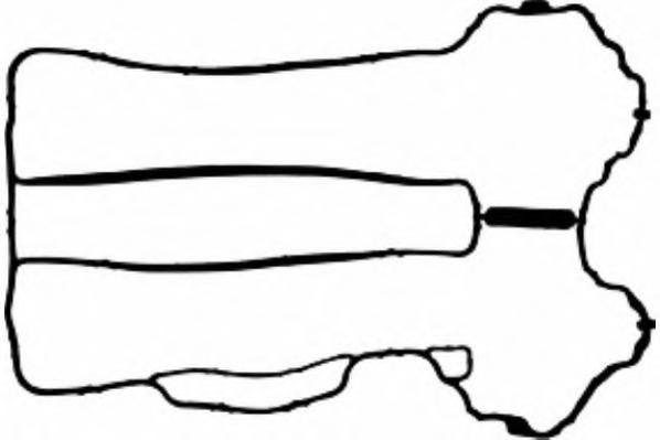 Прокладка, крышка головки цилиндра PAYEN