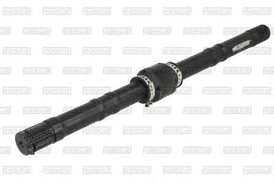 ШРУС PASCAL G81004PC