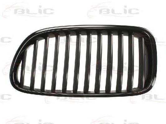 Решетка радиатора BLIC