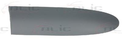 Облицовка / защитная накладка, дверь BLIC 5703-04-2031478P