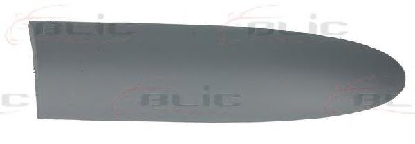Облицовка / защитная накладка, дверь BLIC