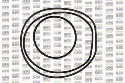 Водяной насос HEPU